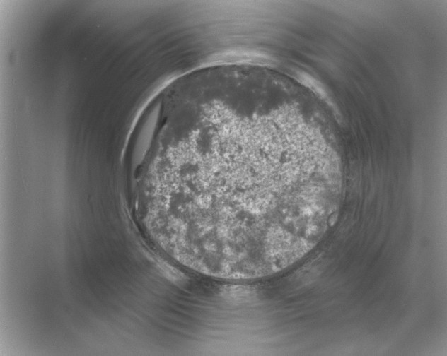 X0000068891275200606021910