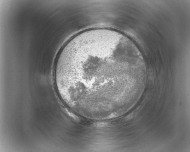 X0000068891278200606021910