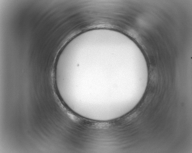 X0000068891282200606021910