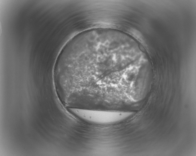 X0000068891283200606021910