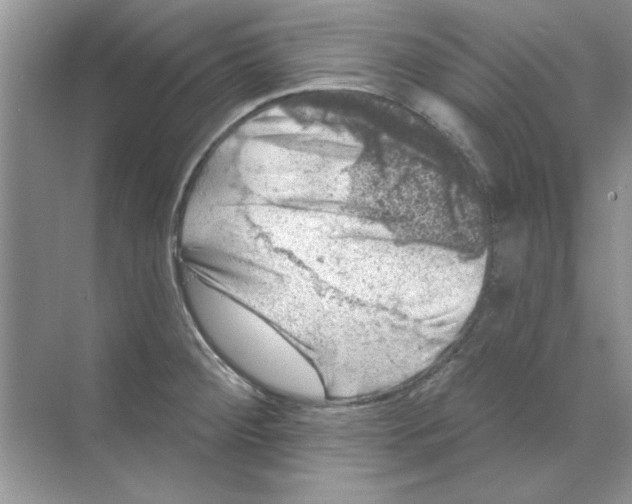 X0000068891284200606021910