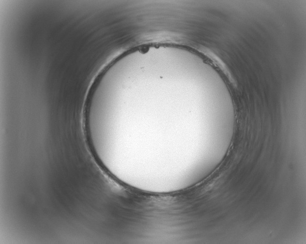 X0000068891285200606021910