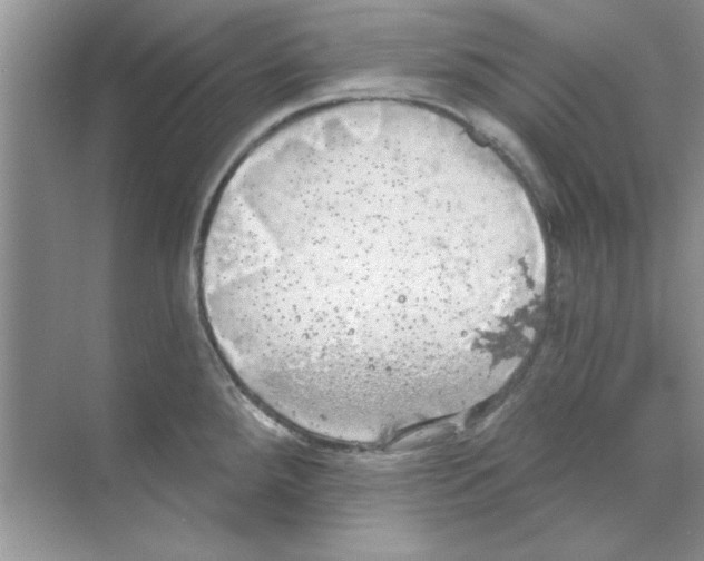 X0000068891288200606021910