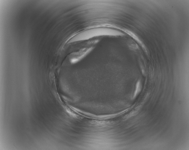 X0000068891289200606021910