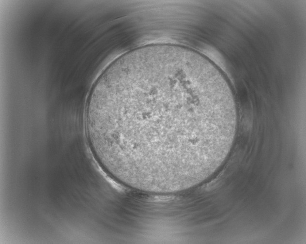 X0000068891290200606021909