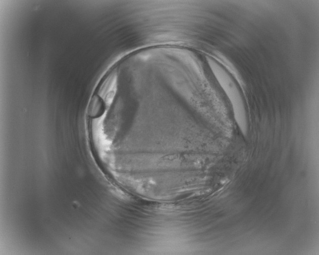 X0000068891291200606021909