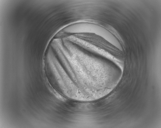 X0000068891292200606021909