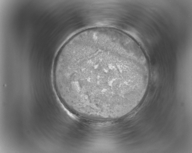 X0000068891294200606021909