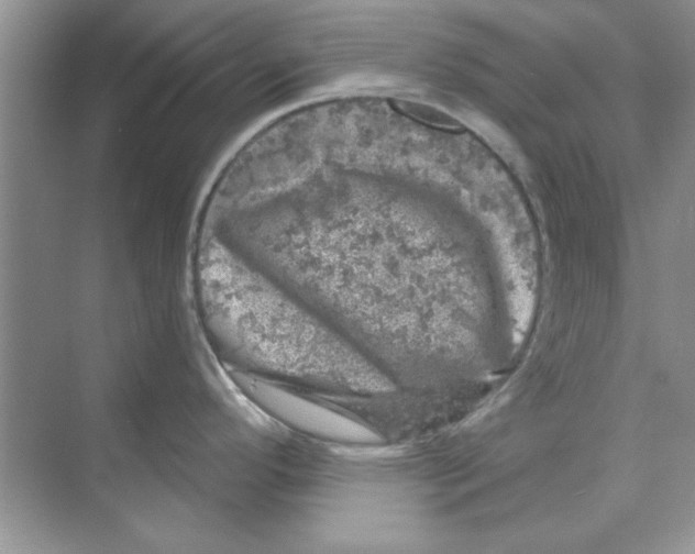 X0000068891296200606021909