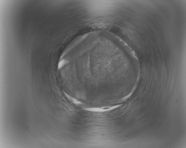 X0000068891297200606021909