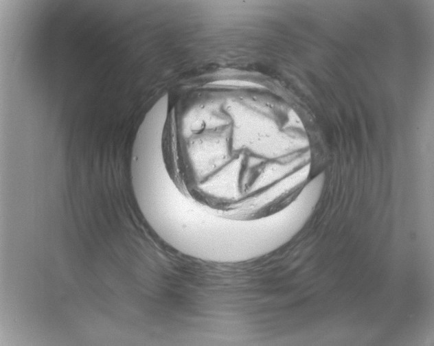 X0000068891298200606021909