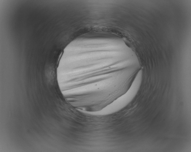 X0000068891299200606021909