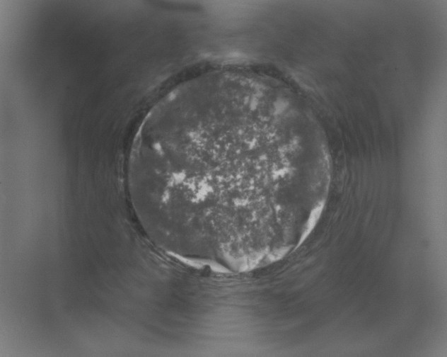 X0000068891301200606021909