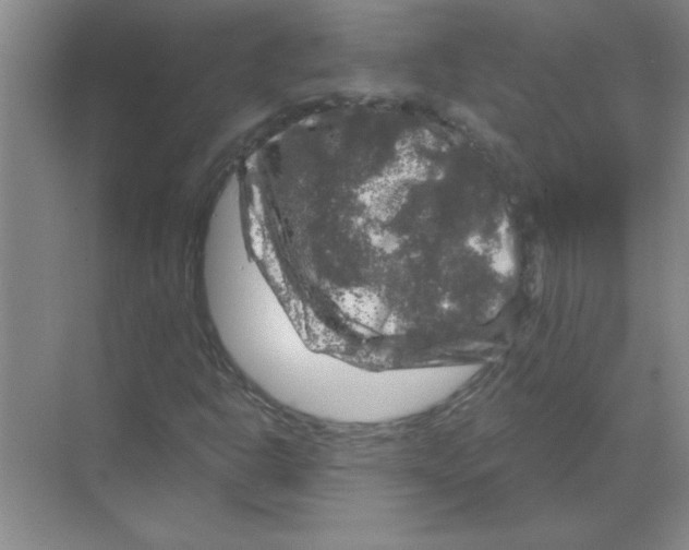 X0000068891302200606021909