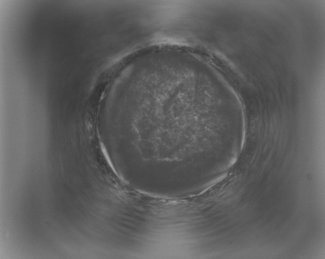 X0000068891303200606021909