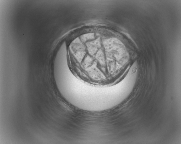 X0000068891304200606021909