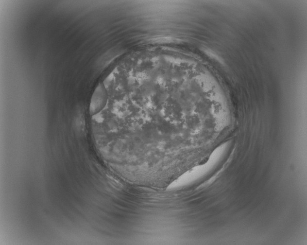 X0000068891305200606021909