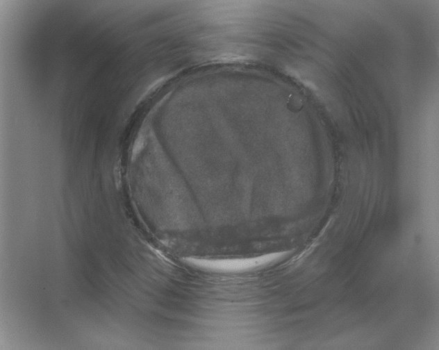 X0000068891306200606021909