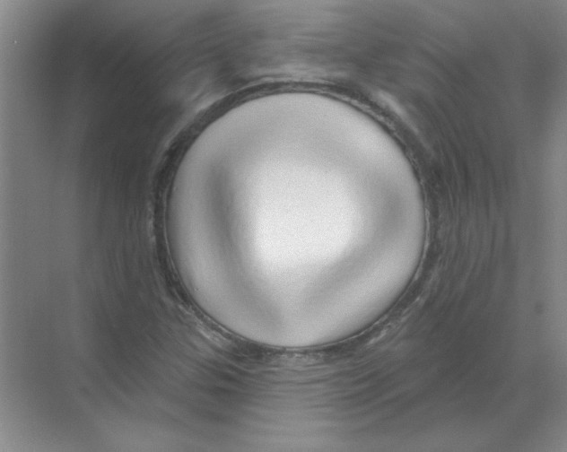 X0000068891307200606021909