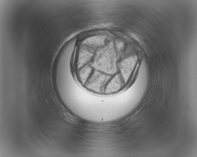 X0000068891308200606021909