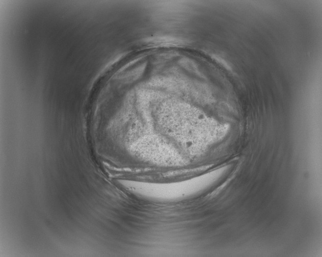 X0000068891309200606021909