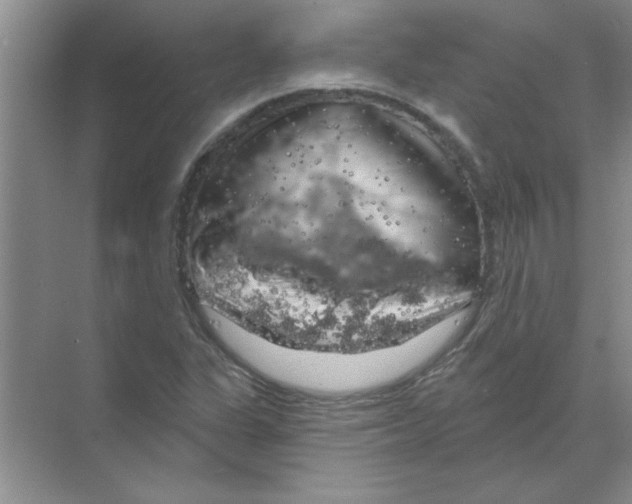 X0000068891311200606021909