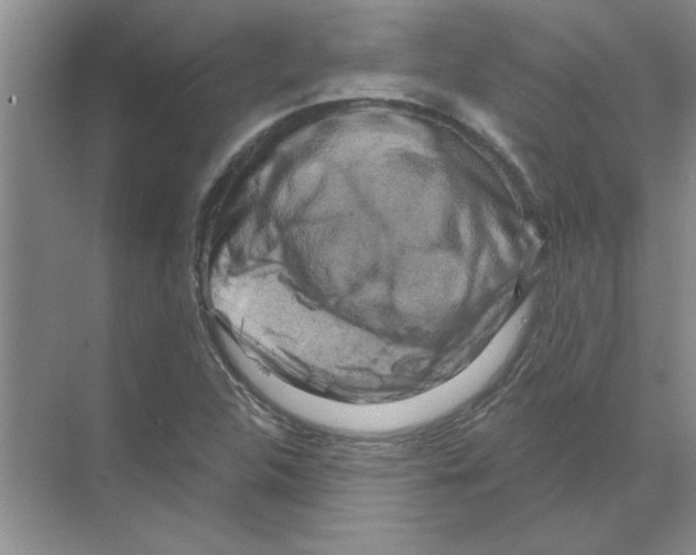 X0000068891312200606021909