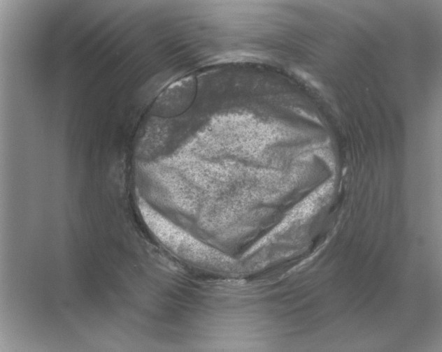 X0000068891313200606021909