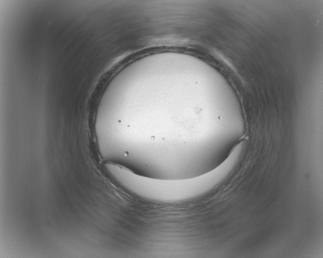 X0000068891315200606021909