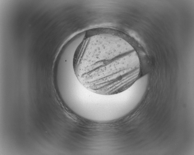 X0000068891316200606021909