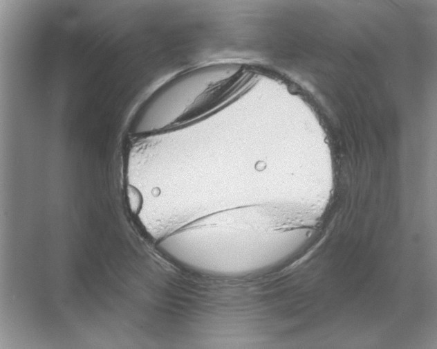 X0000068891317200606021909