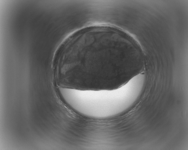 X0000068891319200606021909