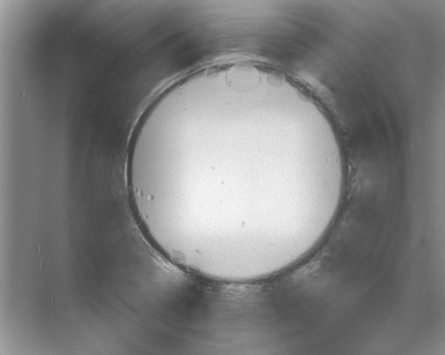 X0000068891322200606021909