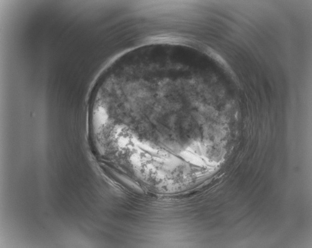 X0000068891323200606021909