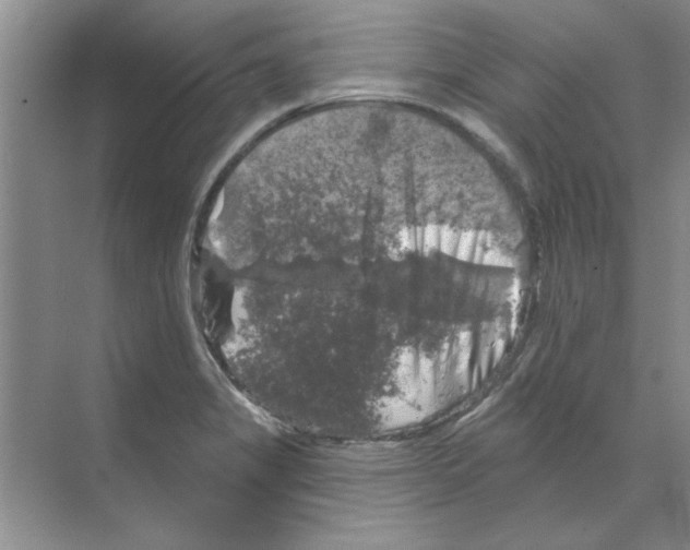 X0000068891325200606021909