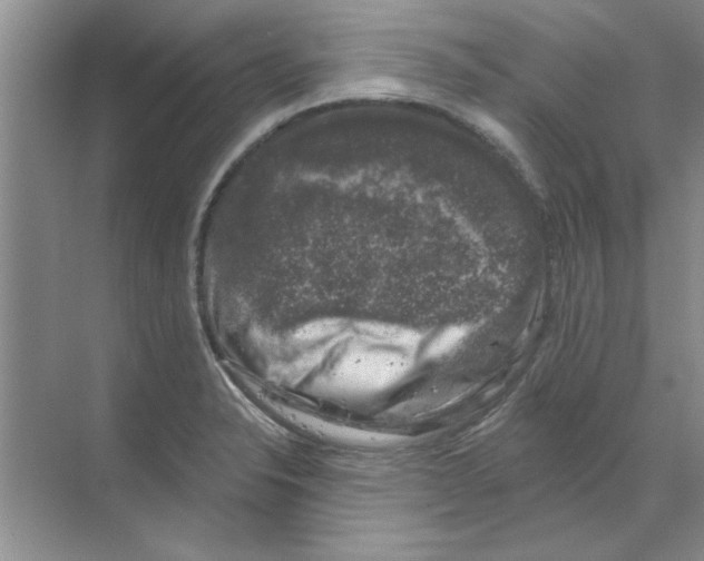 X0000068891326200606021909