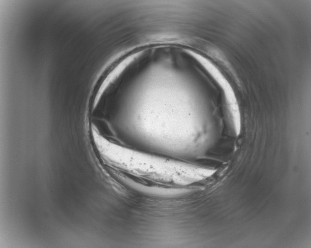 X0000068891328200606021909