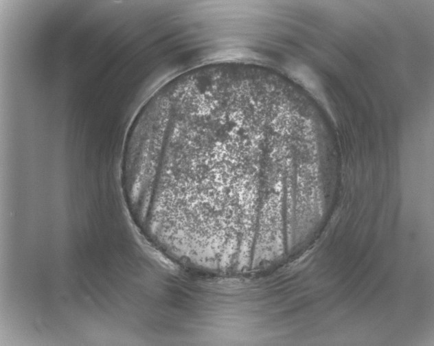 X0000068891330200606021909