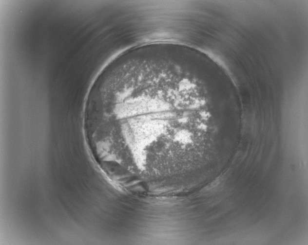 X0000068891333200606021909