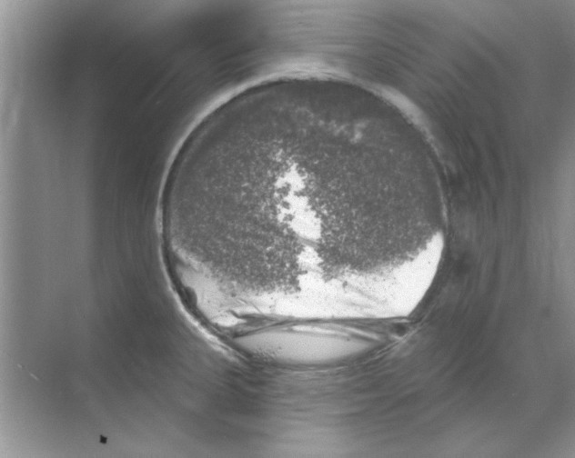 X0000068891335200606021909