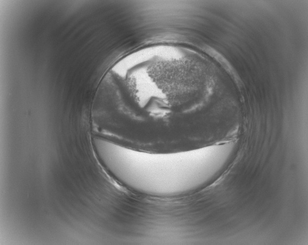 X0000068891337200606021909