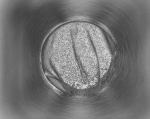 X0000068891339200606021909