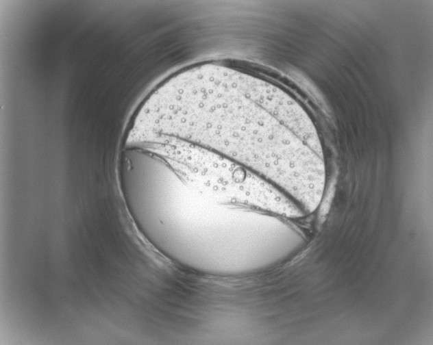 X0000068891340200606021909