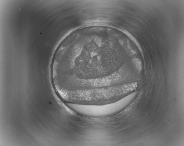 X0000068891341200606021909