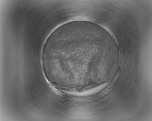 X0000068891342200606021909