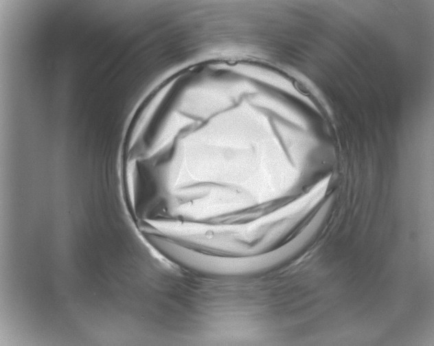 X0000068891343200606021909