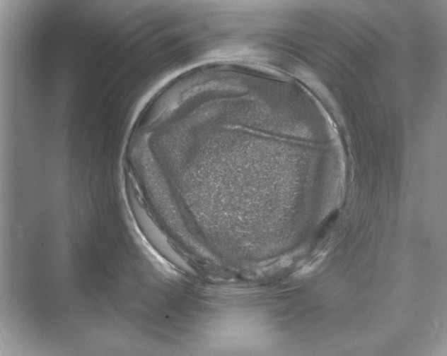 X0000068891344200606021909