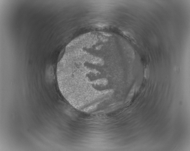 X0000068891347200606021908