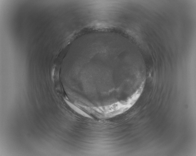 X0000068891348200606021908