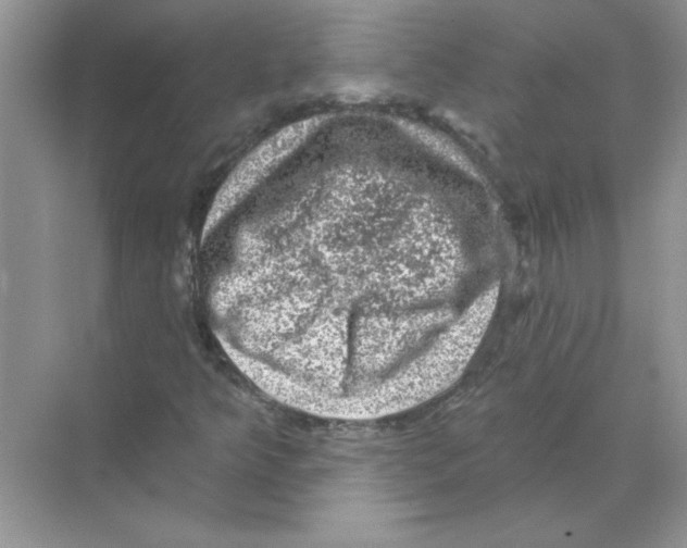 X0000068891349200606021908